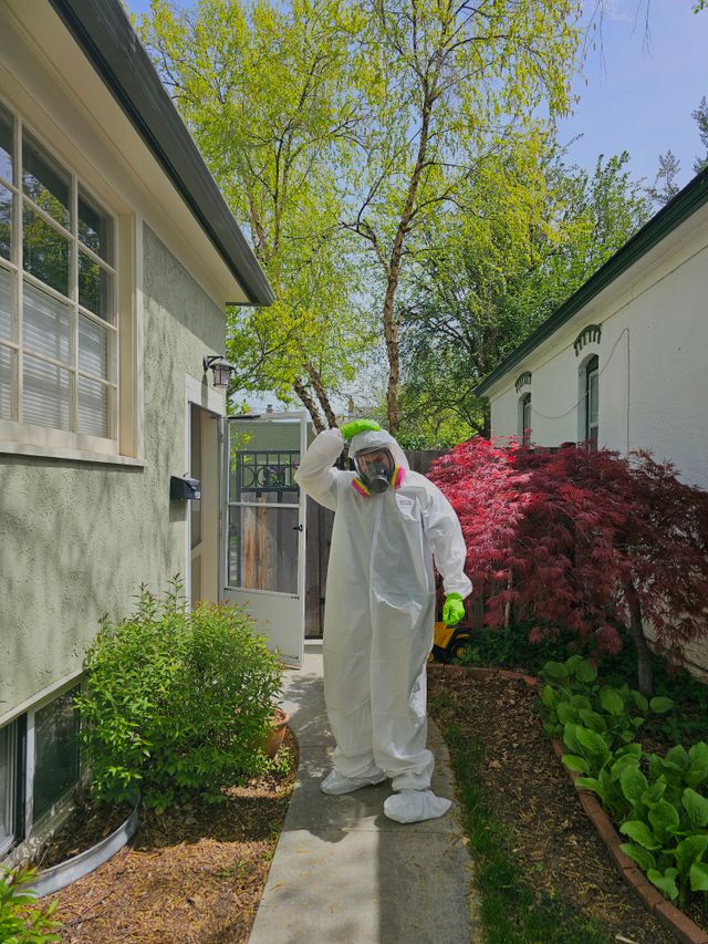 Residential emergency pest control services for urgent home infestations